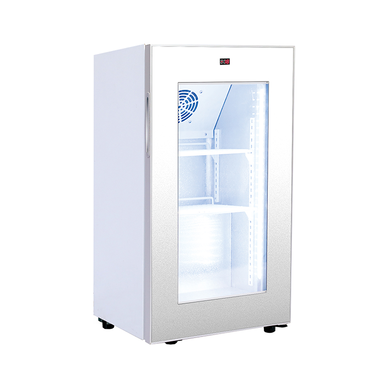 best display freezer fridge